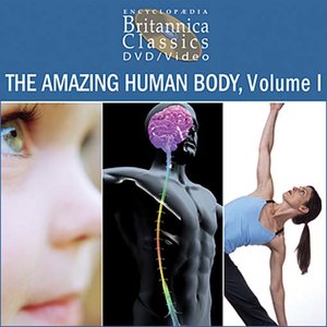 cover image of The Amazing Human Body, Volume 1: Part 1 of 4
